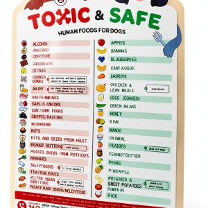 Magnetic List of Foods Dogs Can & Can't Eat Chart - New Puppy Essentials Shopping List, Puppy Feeding Schedule Chart, Cute Whiteboard Fridge Magnet - Pet Safety (9.75" x 6.75")-0